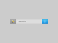 Keyhole Password Field