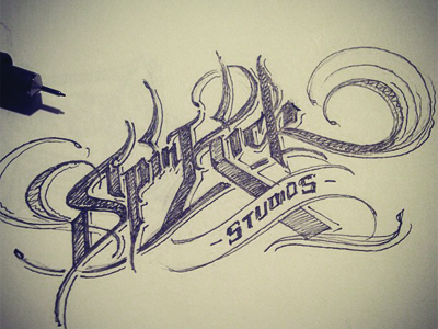 Spinkick2