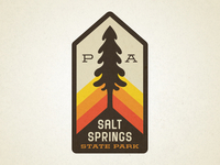 Salt Springs