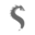 Shahjhan