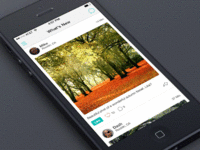 Social Feed (iOS7)