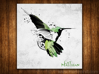 Cat Malojian - Dawn Chorus