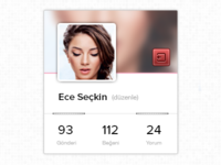 Profile Widget
