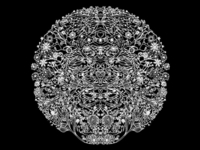 Flowers Design
