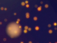 Glowing_night_particles_teaser