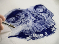 Skull sketch 2