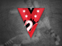 Chicago Swans Brand Identity 