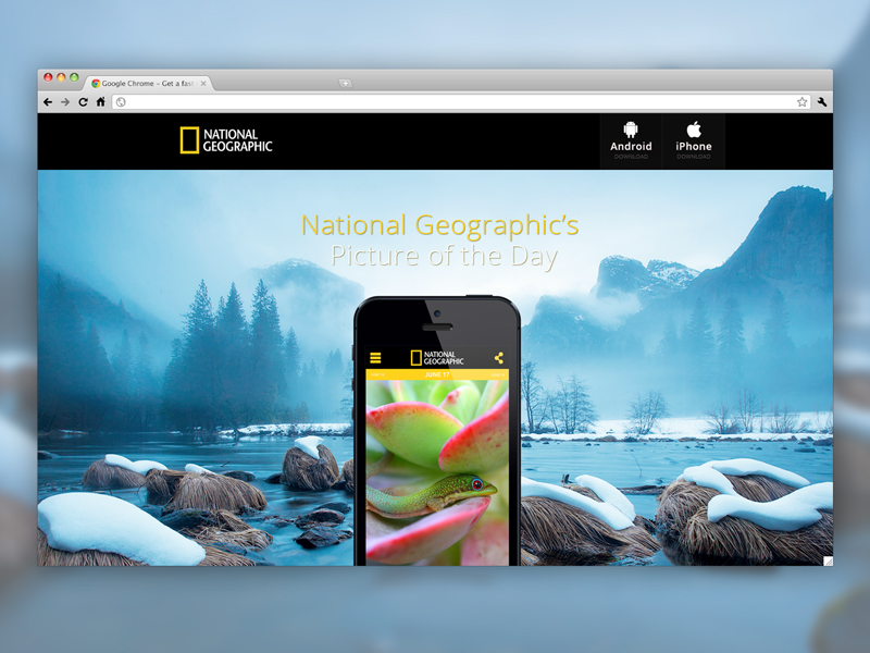 Picture of the Day App