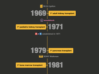 Timeline - wip
