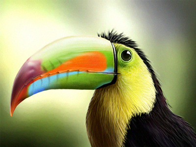 Tucano_final