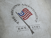 2nd Amendment _Drib