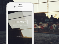 Helmut loading screen