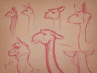 Iandale_nucleus_animals_03_teaser