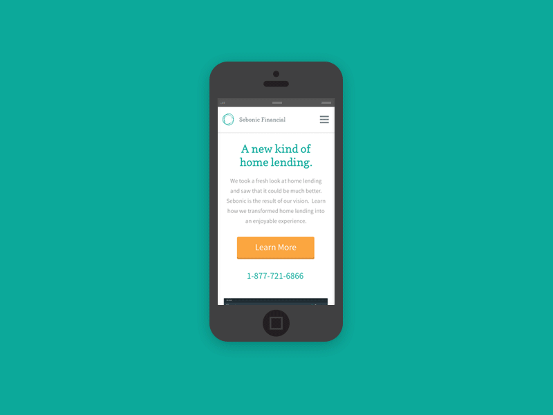 Sebonic Financial Responsive