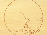 Cat_teaser