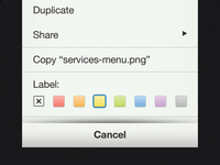 iOS Services Menu