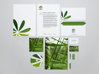Serendipity Innovations, Identity 
