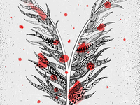 Feather-middle_teaser