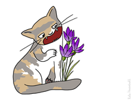 Bibi the cat