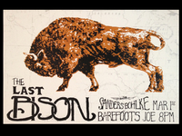 Lastbisonfull_copy_teaser