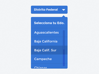 Avicat® Menu · Flat