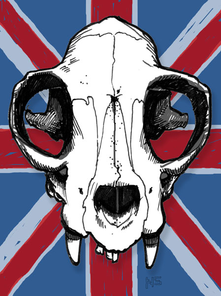 Skull_3
