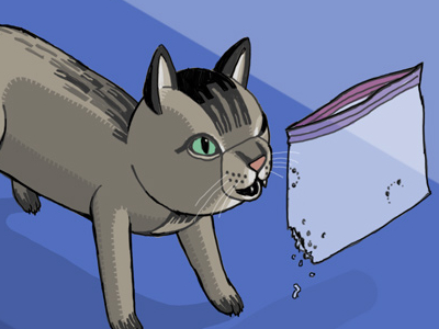 Catster_cyclops2