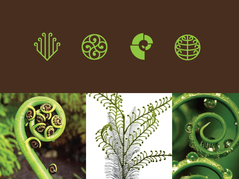 Koru_center_explained