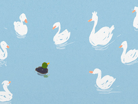 Fleet