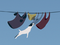 Clothesline