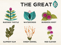 Plant Specimens