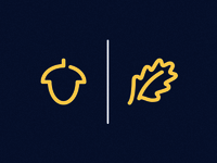 ThisRaleigh Icons