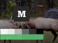 Medium3_teaser