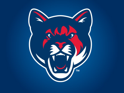 Csu_4