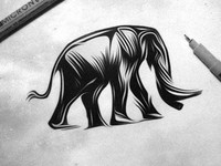 Shuttermuse-elephant-sketch_teaser