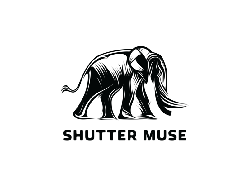 Shuttermuse-final-logo