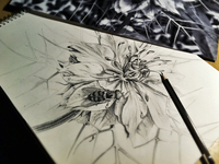 Sketch For Fun!