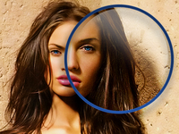 Free Loup PSD.