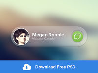 Message Widget -- FREE PSD
