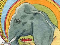Elephantcolordribbble_teaser