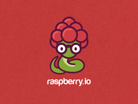 Rasberrio-dribbble_teaser