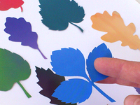 Making leaves