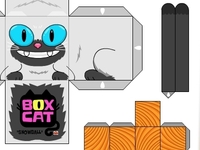 Box Cat-Snowball