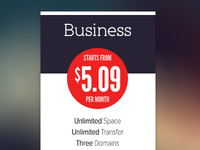 Hosting Pricing Plans
