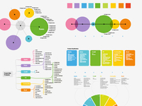 Infographics drafts