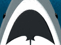 Sharks & Rays - Vancouver Aquarium 