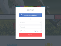 Login panel for new project