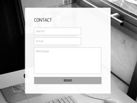 Contact Form