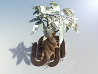 Squarespace Commerce Money Tree
