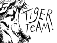Tiger Team